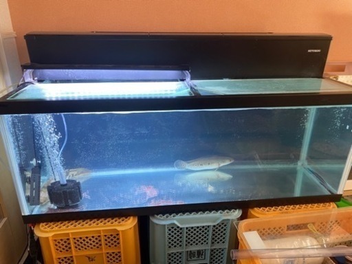 1200水槽