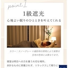 1級遮光カーテン　ブルーグレー　レースカーテン付きの画像