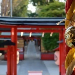 初詣に行こう♫