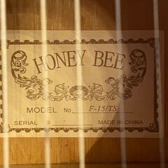 札幌引き取り限定 アコースティックギター F-15/TS スタンドとケース付きの画像