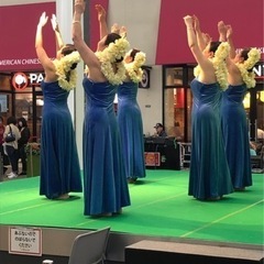 🌺フラダンススタートしませんか？🌺【千葉・木更津・蘇我・海浜幕張】の画像