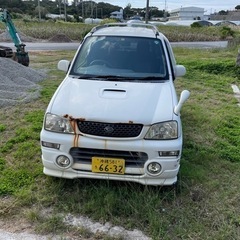 テリウスキッドの画像