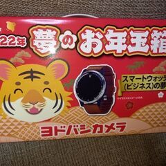 ヨドバシカメラ福袋ビジネススマートウォッチ