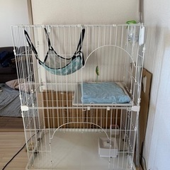 キャットゲージ　
