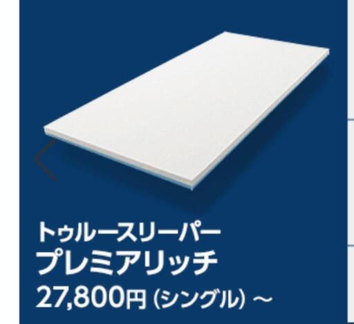 トルースリーパー　シングル
