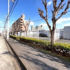 愛車好き募集