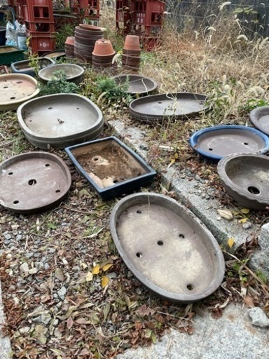 【盆栽鉢】小〜大まで数十点まとめて