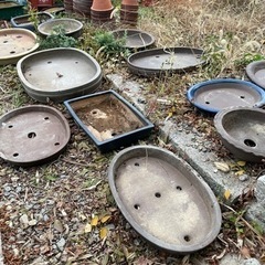【盆栽鉢】小〜大まで数十点まとめて