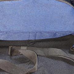 【お取り引き中】Championのウエストバックの画像