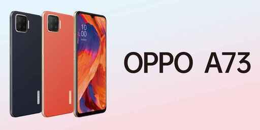 ヨドバシカメラ お年玉箱 OPPO A73 保証付き ヨドバシカメラ お年玉箱 OPPO A73 保証付き