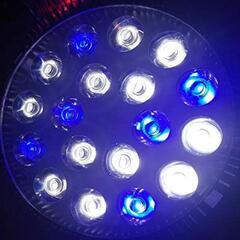 水槽用 LED電球 セットの画像