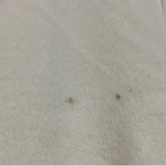 ⭐️【中古】訳ありロングコート（白）の画像