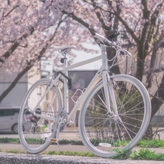2016 FUJI PALETTE ホワイト 中古 21インチ 