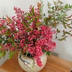南天　ご自宅のお正月飾りにいかがでしたでしょうか