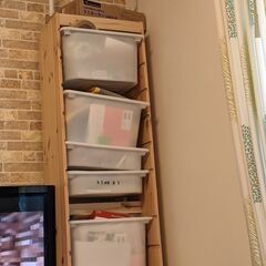 イケヤトロファ−スト