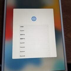 iPad Air 第3世代　256GB ゴールド　Wi-Fi　