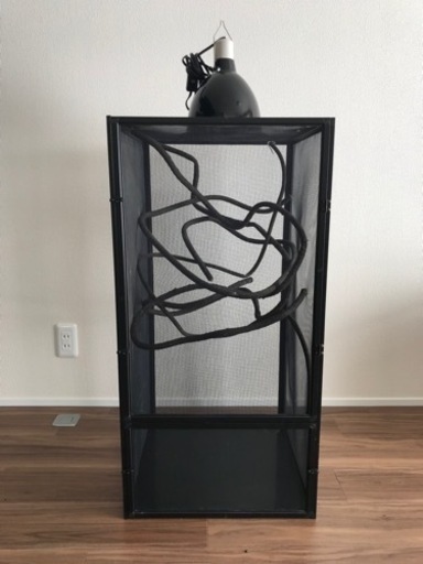 ズーメッド　レプティブリーズ　L ①