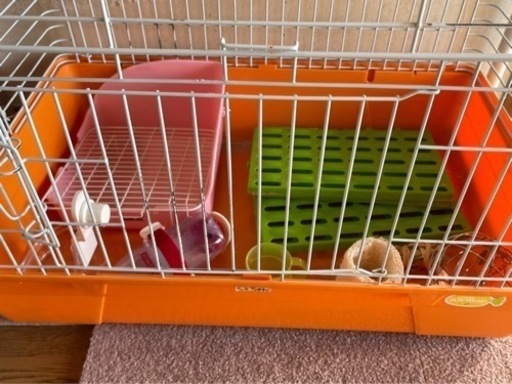 うさぎ用品