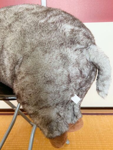 【トイザらス】でっかい黒豚　BIG　ぶた★ぬいぐるみ