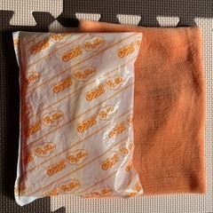 電子レンジで温める湯たんぽ