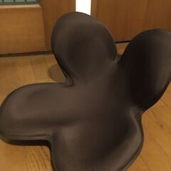姿勢矯正 MTG ボディメイクシート スタイル 差し上げます