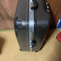 キャリーバッグの画像