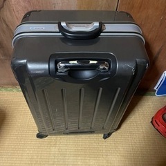 キャリーバッグの画像