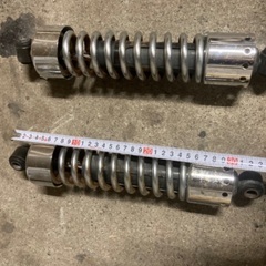 ハーレーサスの画像