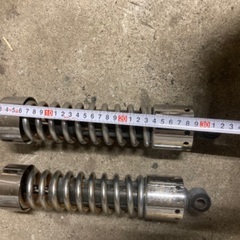 ハーレーサスの画像