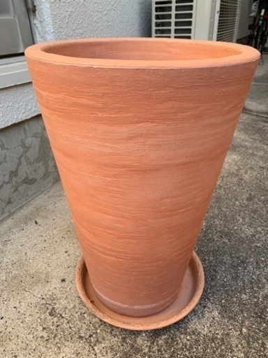 植木鉢　大き目　オリーブの別出品あり