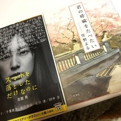 小説（購入者決定）