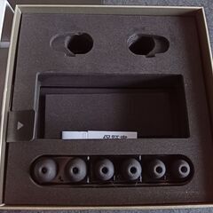 Sonyのワイヤレスイヤホン（WF1000X）の画像