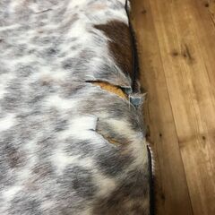 LC4 シェーズロングの画像