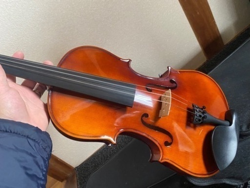 弦楽器、ギター Carlo Giordano Viola