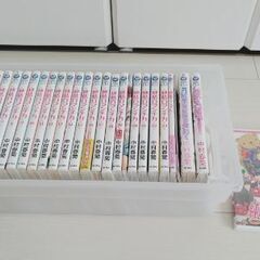 純情ロマンチカ1～23巻
