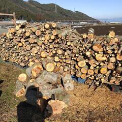 ★配達無料エリアあり　りんご　50キロ単位　薪ストーブ　薪　希少薪の画像