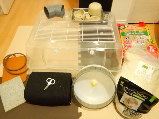★値下げしました★　ハリネズミ　飼育セット