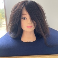カット練習用ウィッグ新品　レジーナ ほか　2500円〜