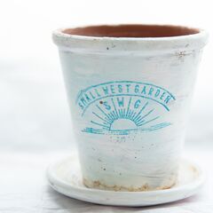 陶器の鉢　¥300　ガーデニング、鉢、ポット、盆栽、多肉植物、観...