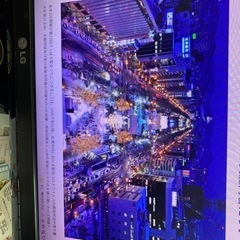 冬の祭典2022さっほろ雪まつり期間            航空チケット大人2名の画像