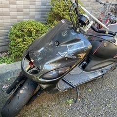 グランドシグナス売ります。