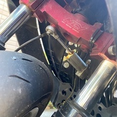 グランドシグナス売ります。の画像