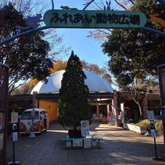 ふれあい動物広場の売店スタッフ募集の画像