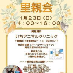 鎌ヶ谷初開催！保護ねこの里親会