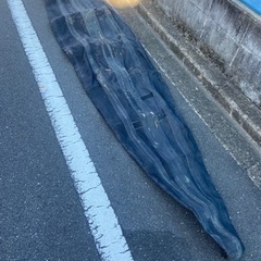 カヤック　フェザークラフト　FRT ジャンクの画像