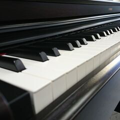 電子ピアノ YAMAHA ヤマハ ARIUS アリウス YDP-163R 2017製 動作品の画像