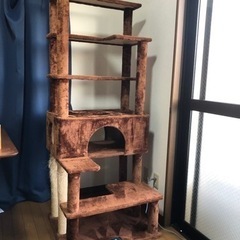 キャットツリー