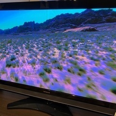 日立50インチTV5000円値下げ