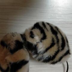 イヤーマフ