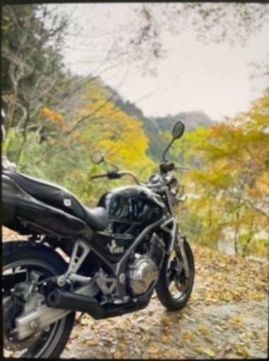 バリオス250cc